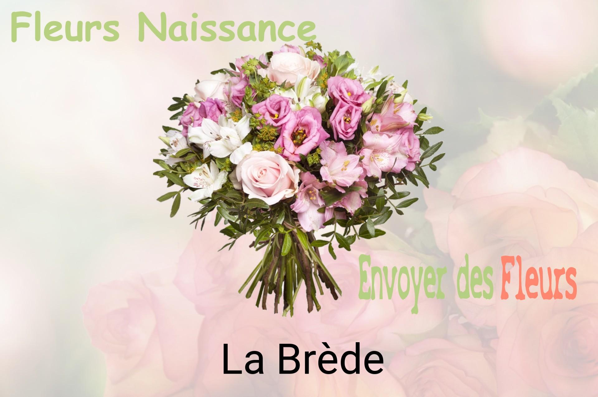 Bouquet de fleurs de naissance livré à La Brède